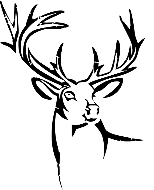 verdenex